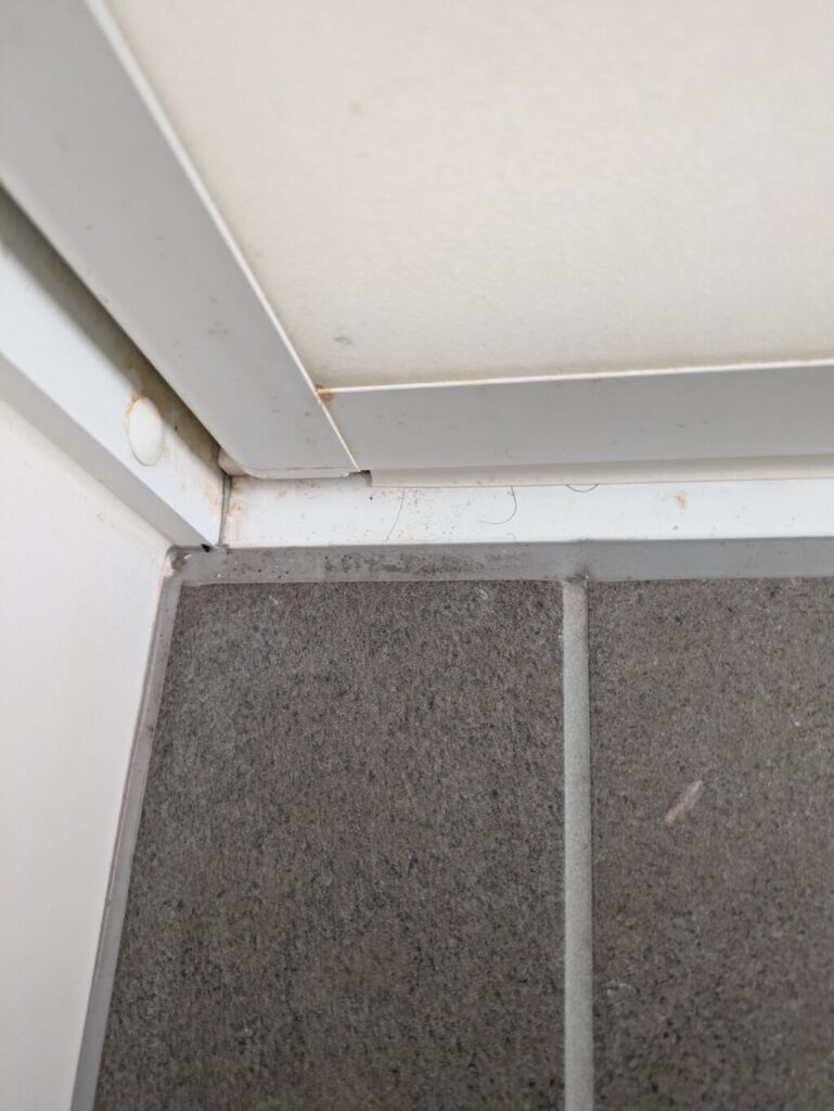 お風呂のドア付近の目地に発生していた黒カビ